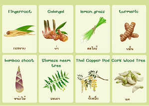 คำศัพท์ผักภาษาอังกฤษ