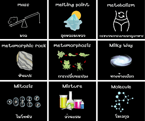 Science วิทยาศาสตร์ ภาษาอังกฤษ