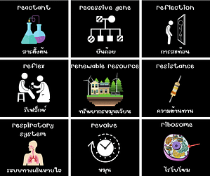 Science วิทยาศาสตร์ ภาษาอังกฤษ
