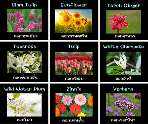 ชื่อดอกไม้ภาษาอังกฤษ
