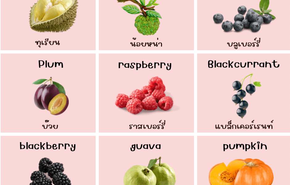 fruit ผลไม้ ภาษาอังกฤษ